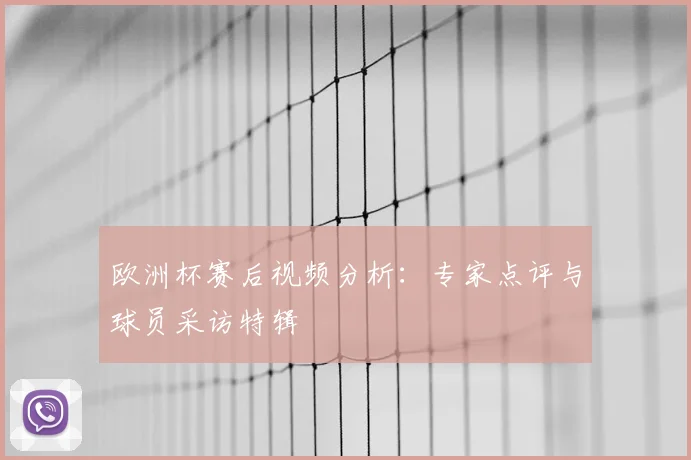欧洲杯赛后视频分析：专家点评与球员采访特辑